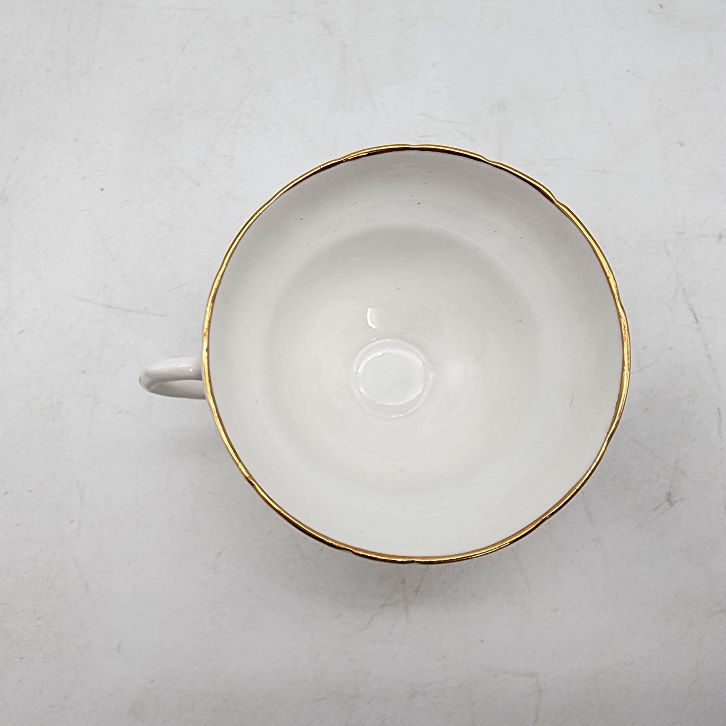 Vintage Rosina Bone China Forget-Me-Not Tea Cup & Saucer Set England