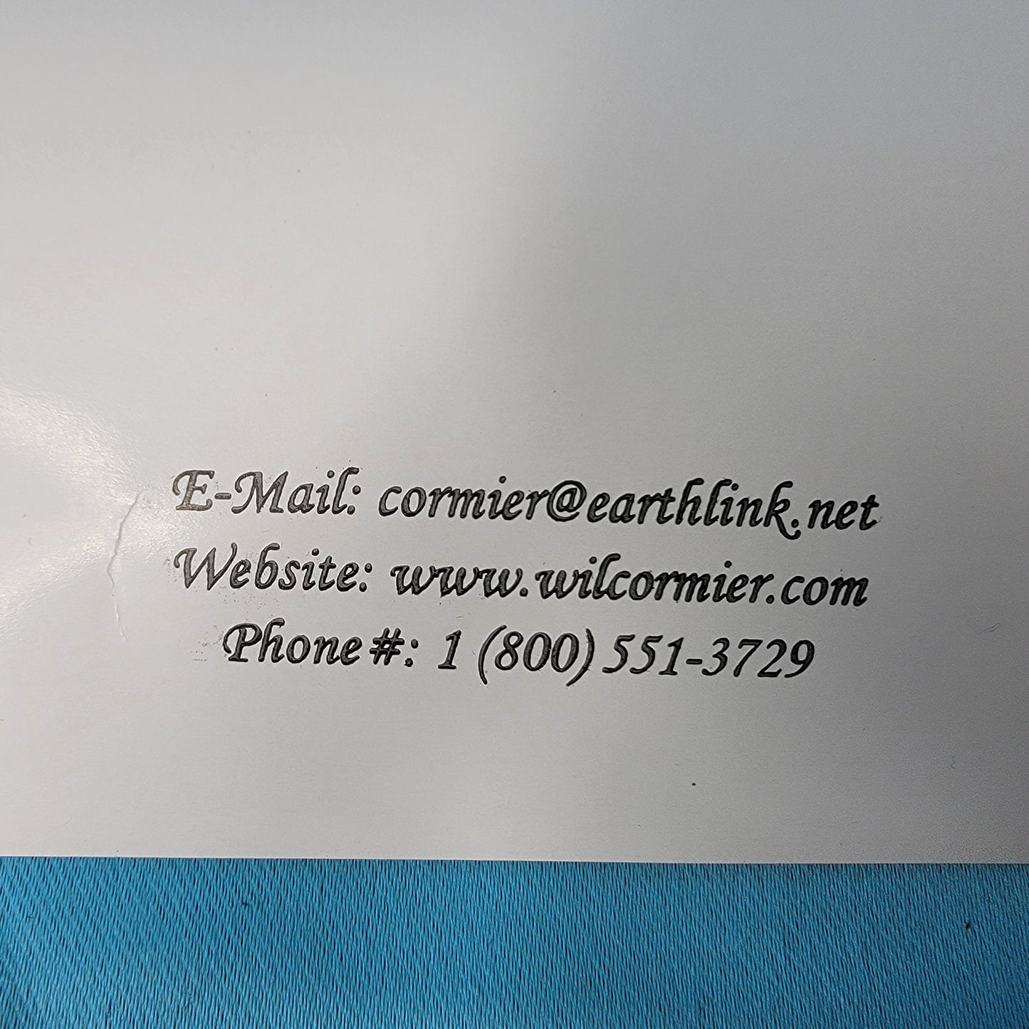 Wil Cormier Special Friends Mermaid Art Print