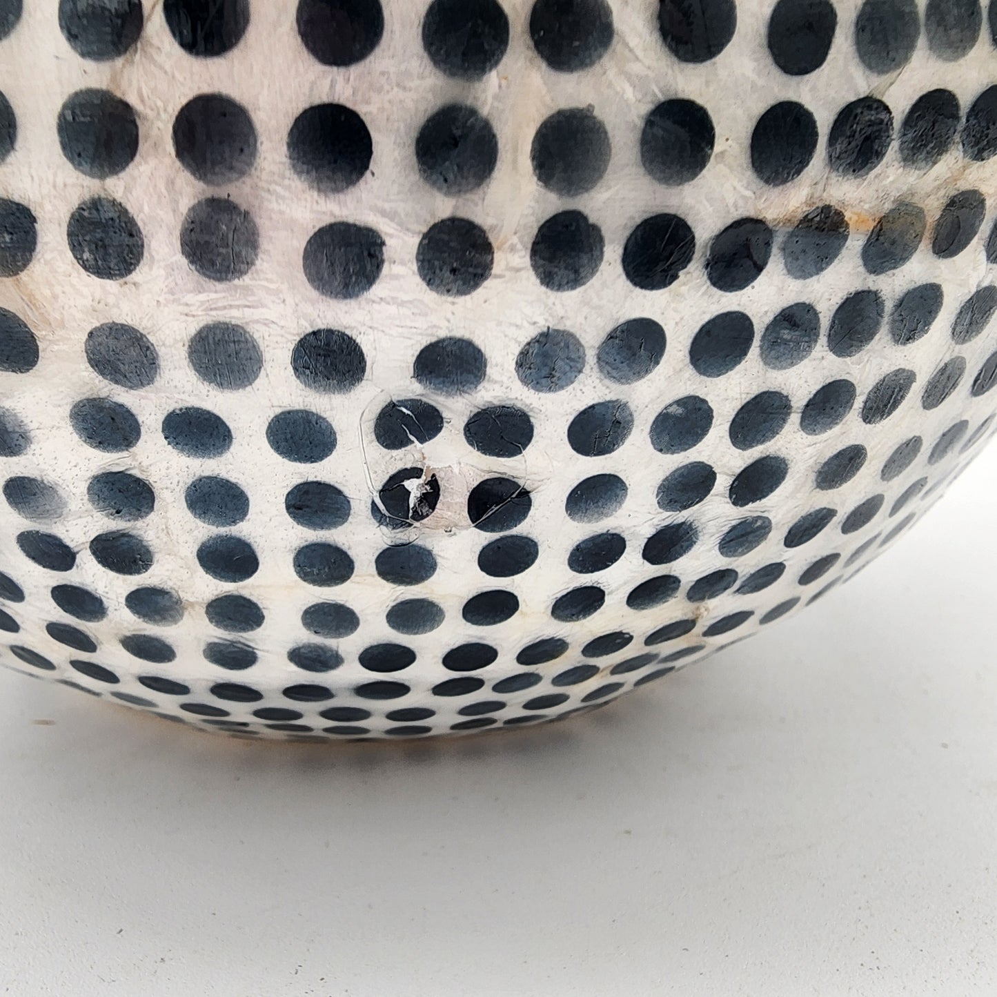 Round Capiz Shell Vase Black and White