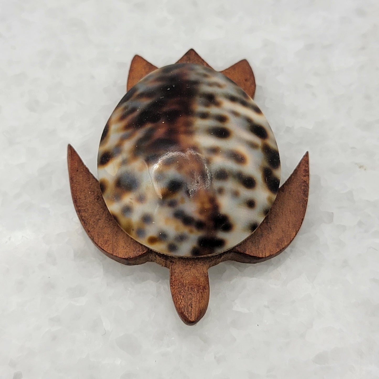 Cowrie Shell Wood Sea Turtle Magnet