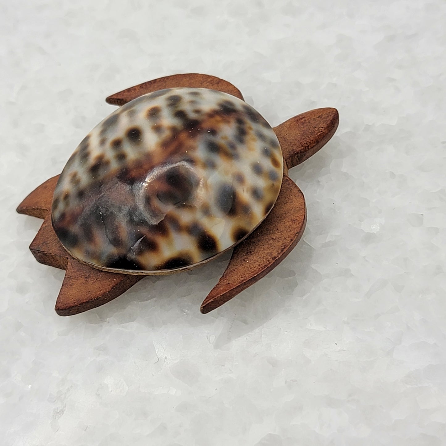 Cowrie Shell Wood Sea Turtle Magnet
