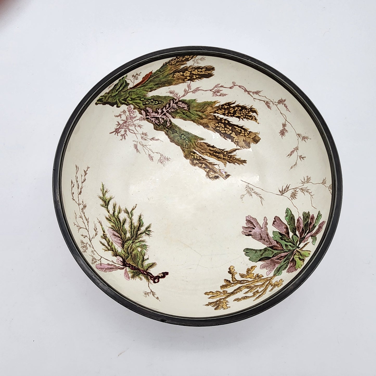 Antique Wedgwood Lobster Footed Bowl