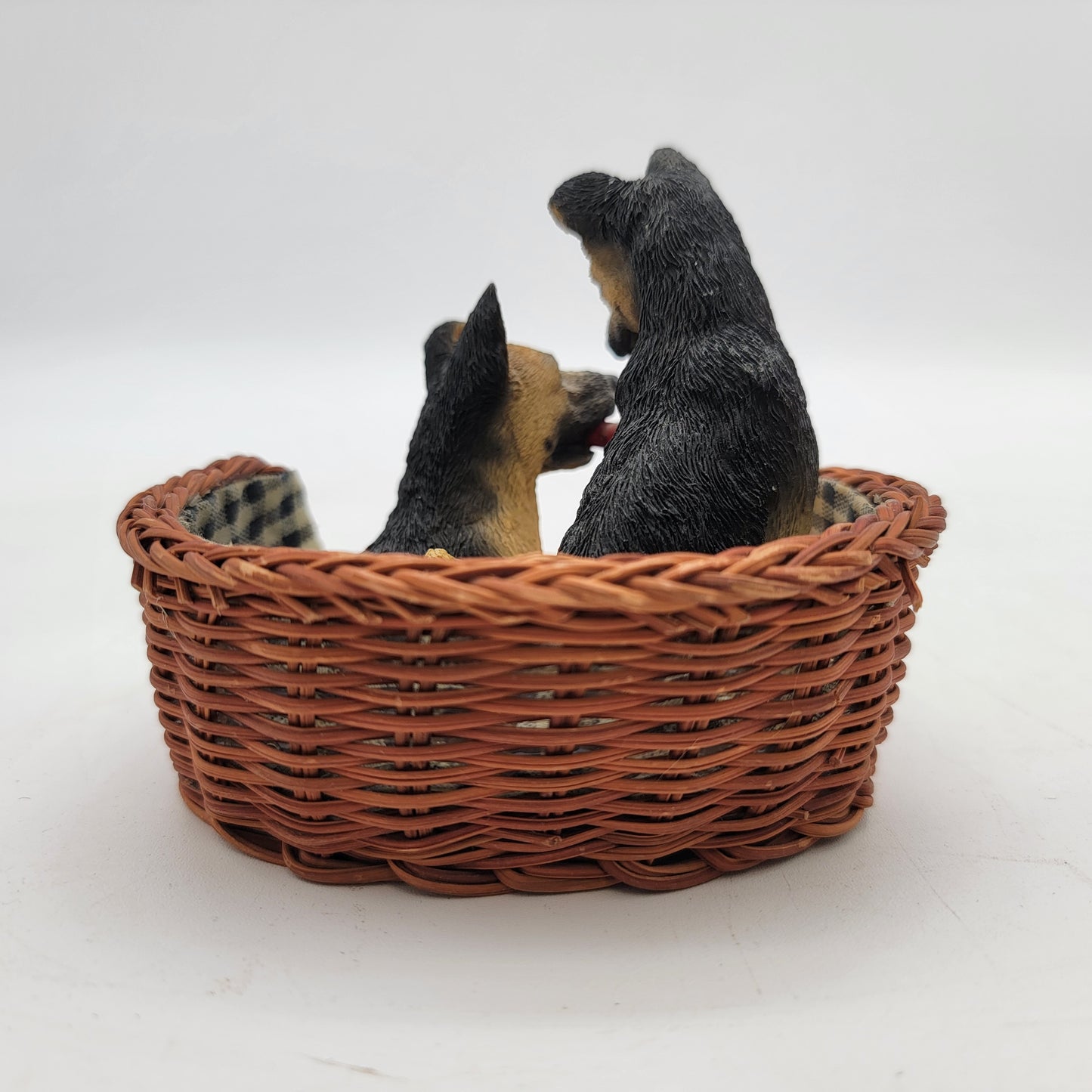 Living Stone German Shepherd Puppies in a Basket