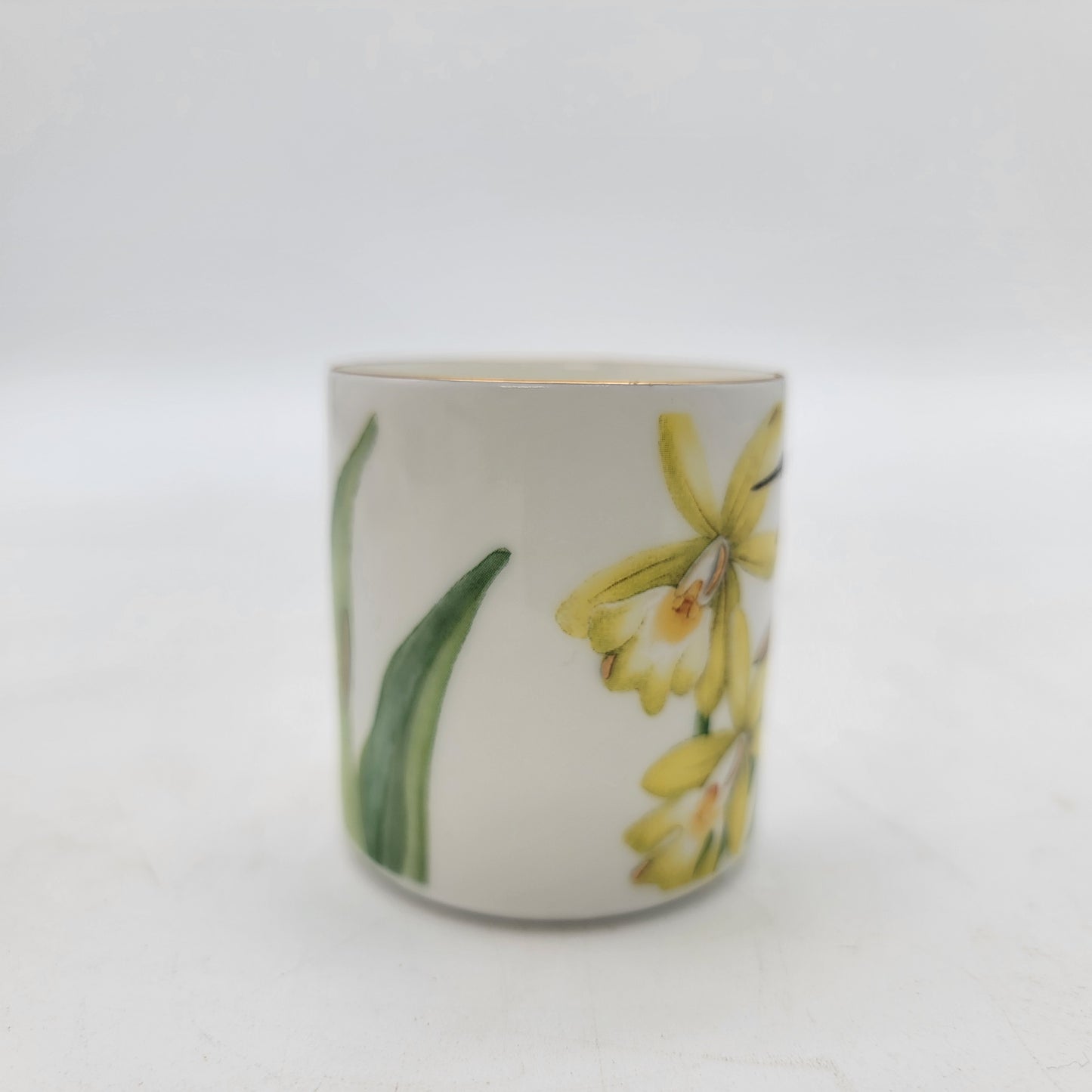 Pair Of Villeroy & Boch Amazonia Espresso Cups & Saucers Hummingbirds