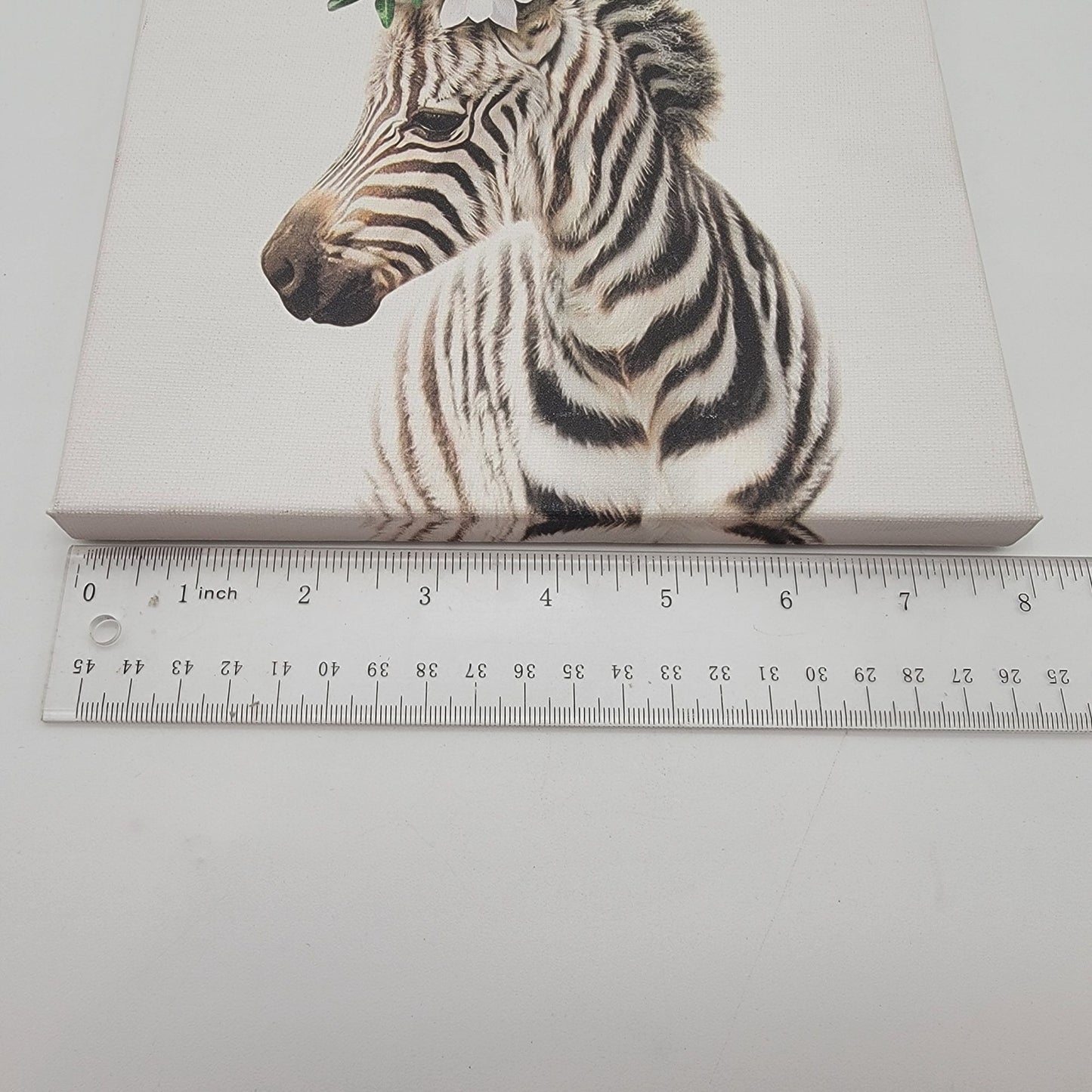 Baby Zebra Canvas Wall Art