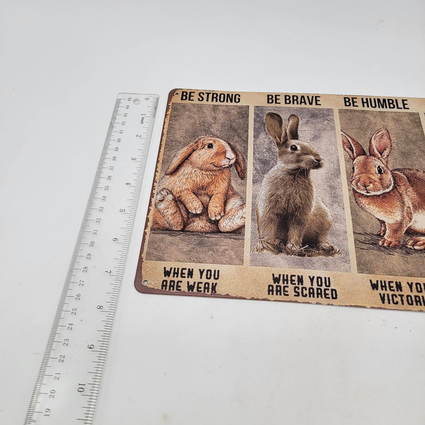 Inspirational Rabbit Decor Metal Wall Sign