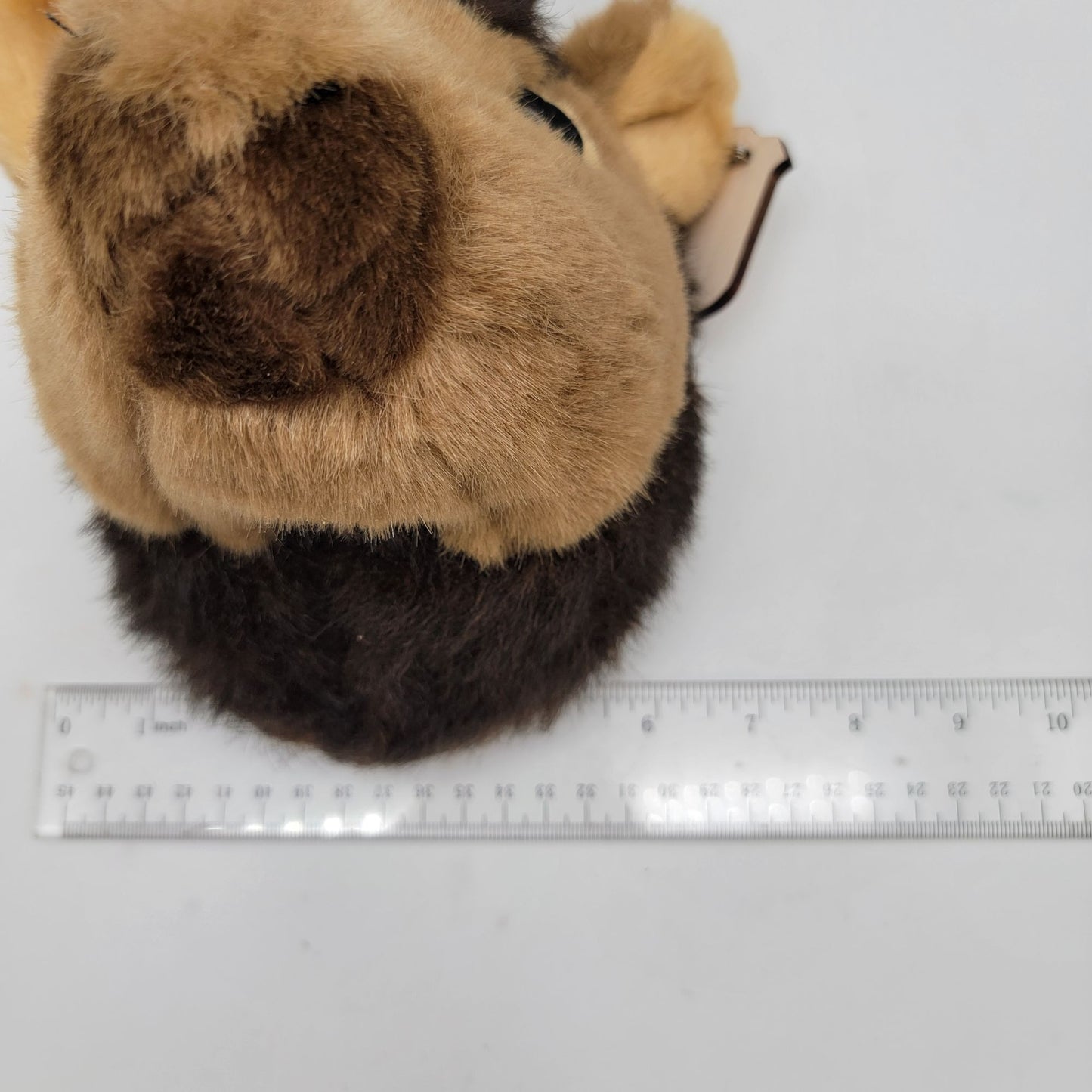 Plush Deer Trophy Mount Wall Decor Junior Park Ranger Golden Spike National Historical Park
