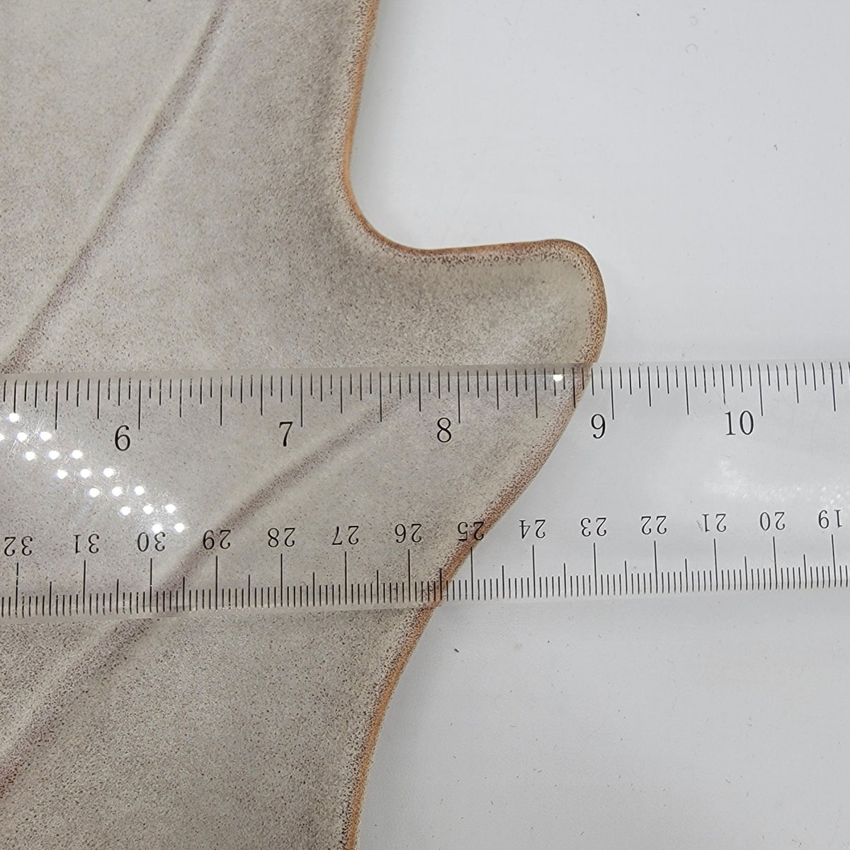 Pottery Barn Harvest Oak Leaf Stoneware Serving Platter