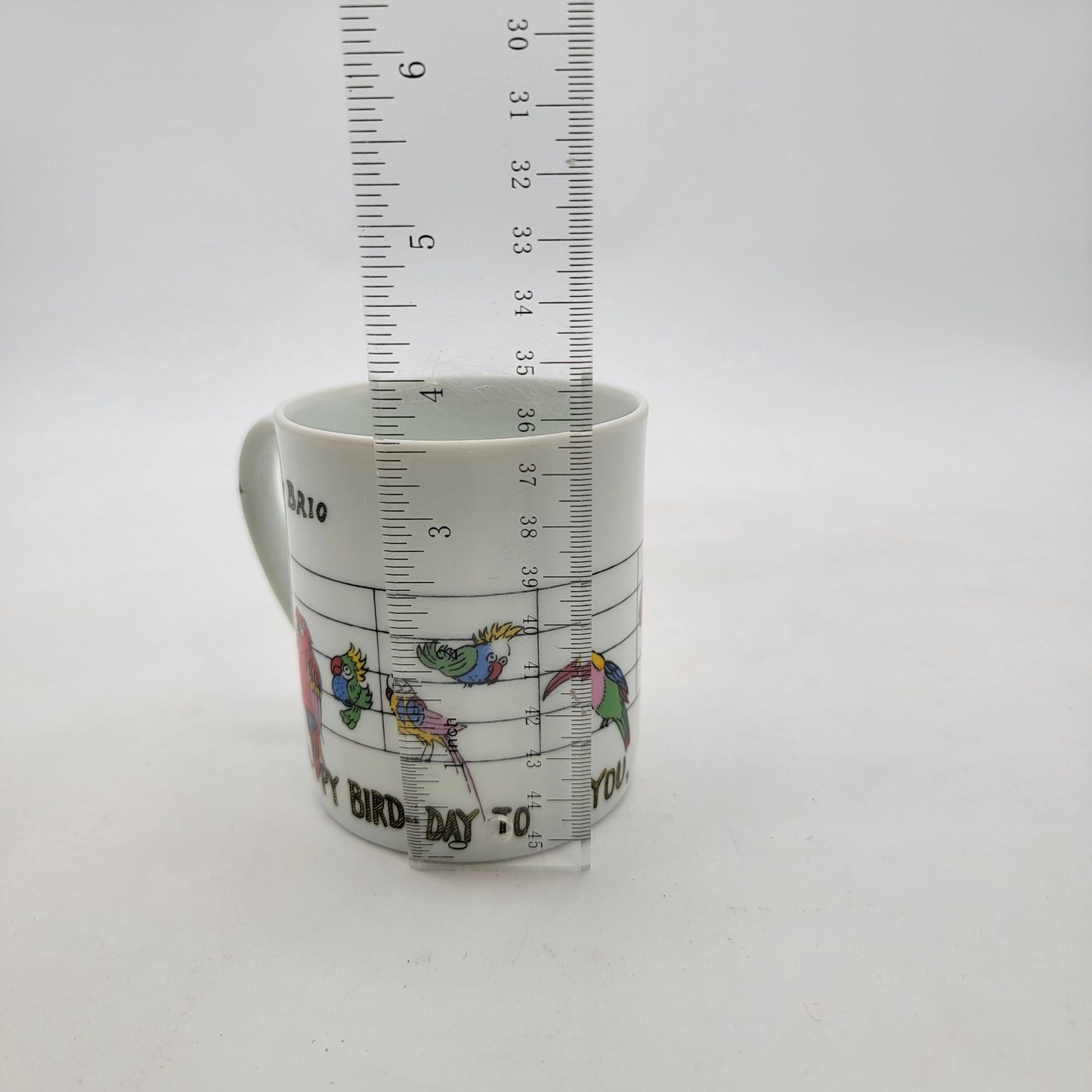 Takakashi San Francisco Con Brio Music Note Parrot Mug Happy Bird-Day Song Coffee Tea Cup