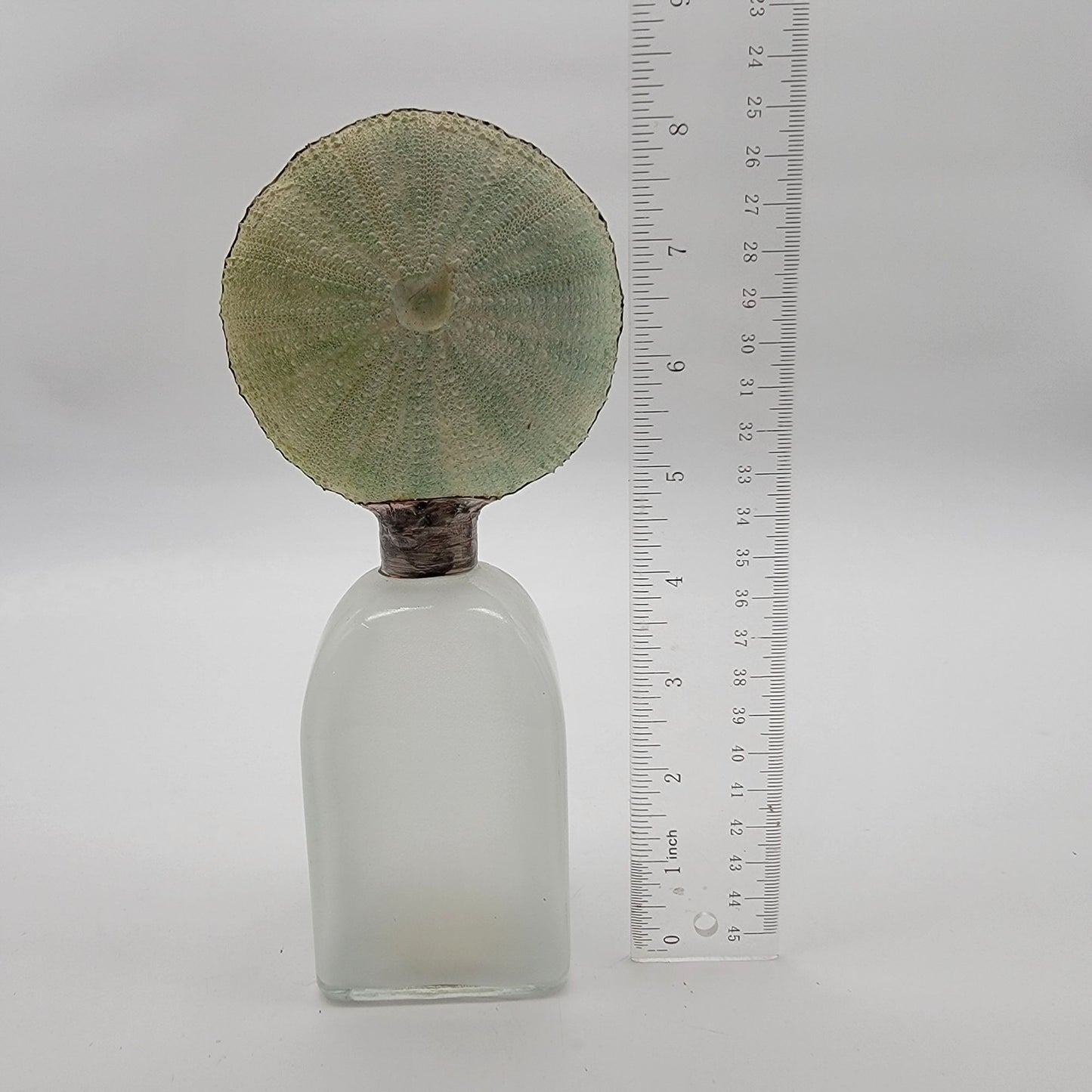 Isabeau Grey for Pottery Barn Green Sea Urchin Perfume Bottle