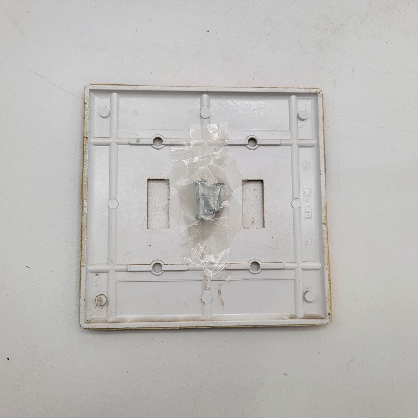 Hand Painted Turtle w/VanGogh's Iris Double Light Switch Cover