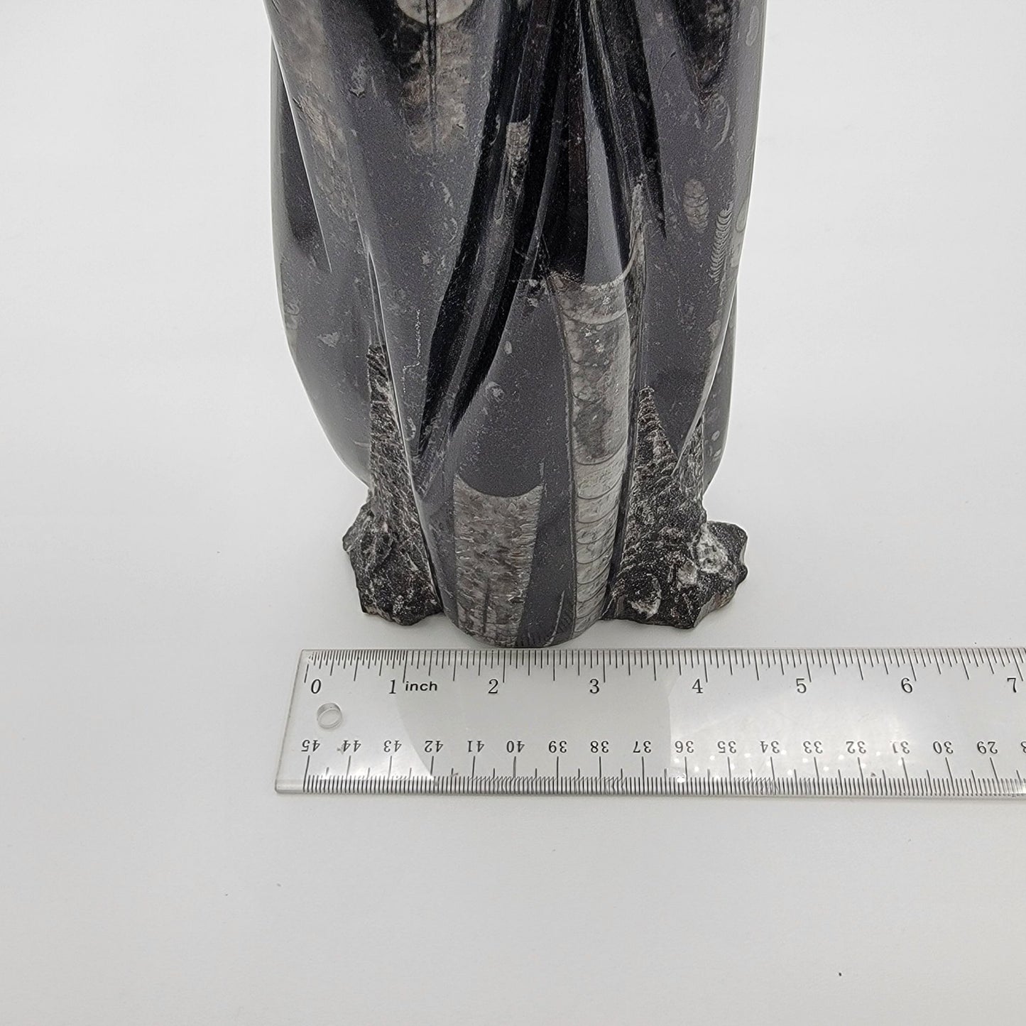 Large Orthoceras Fossil Tower Sculpture