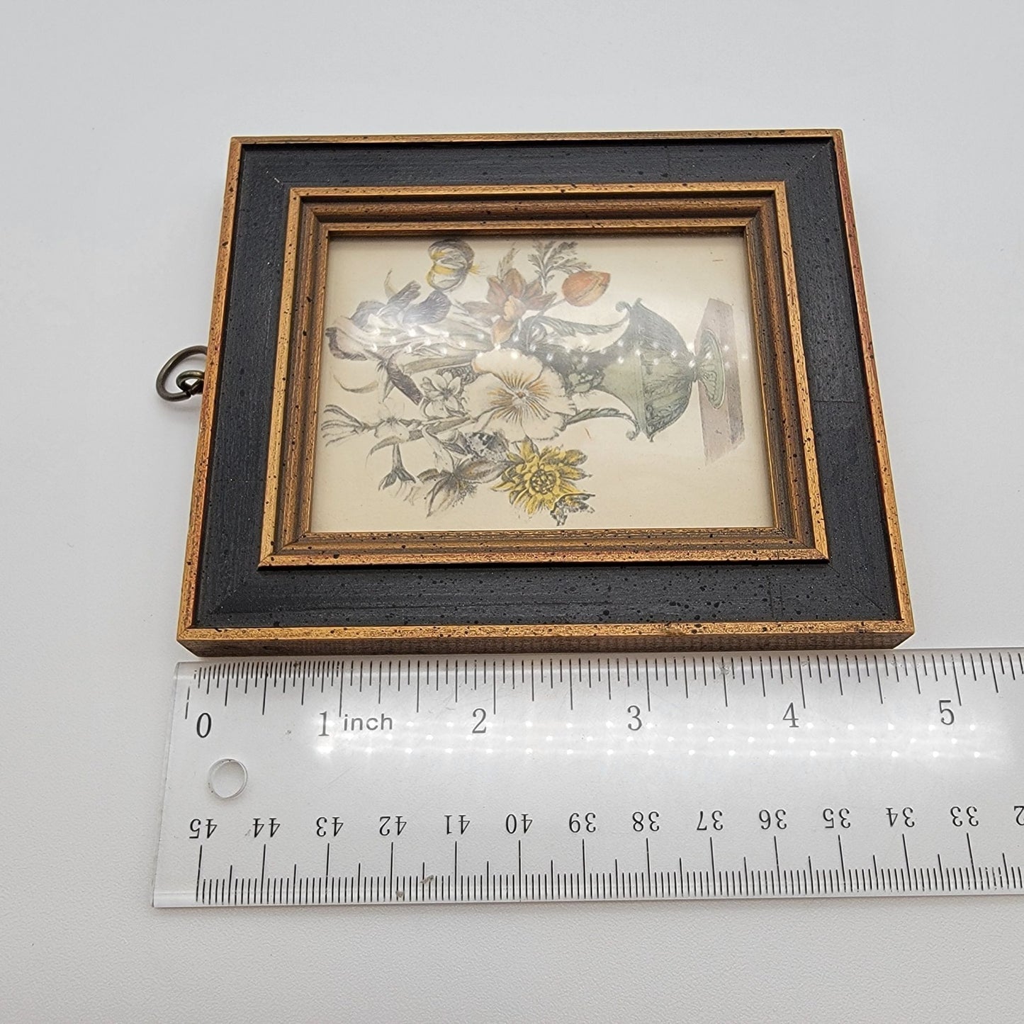 Pair Of Vintage Framed Botanical Art Prints