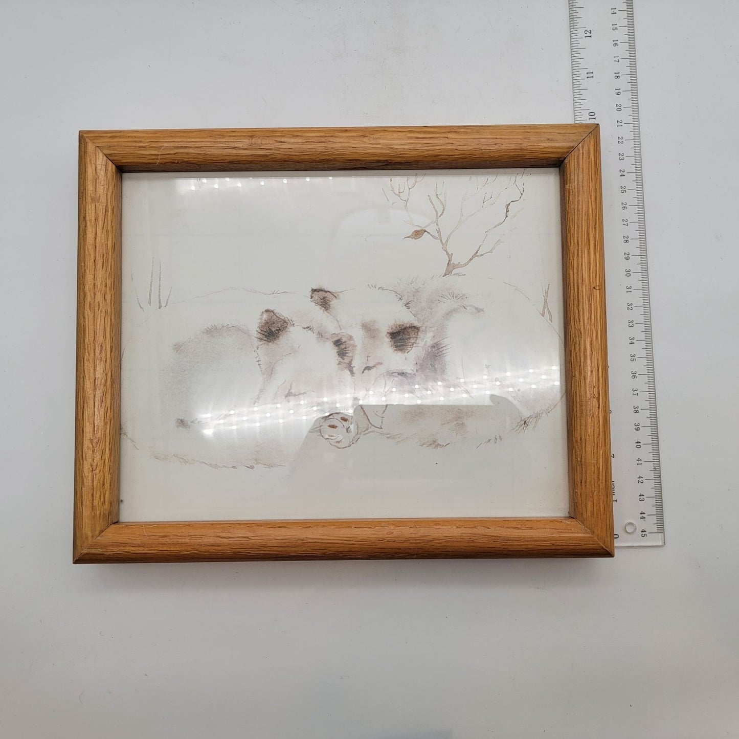 Vintage Sleeping Foxes Oak Framed Print