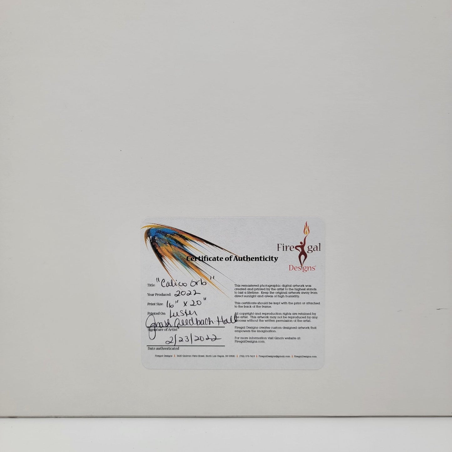 "Calico Orb" 2022 Art Print By Gina Geldbach-Hall 16x20" With Certificate Of Authenticity