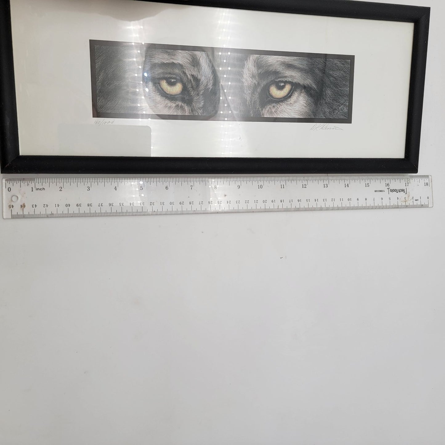 "Predators" Grey Wolf Eyes Framed Print By D.K. Dennis