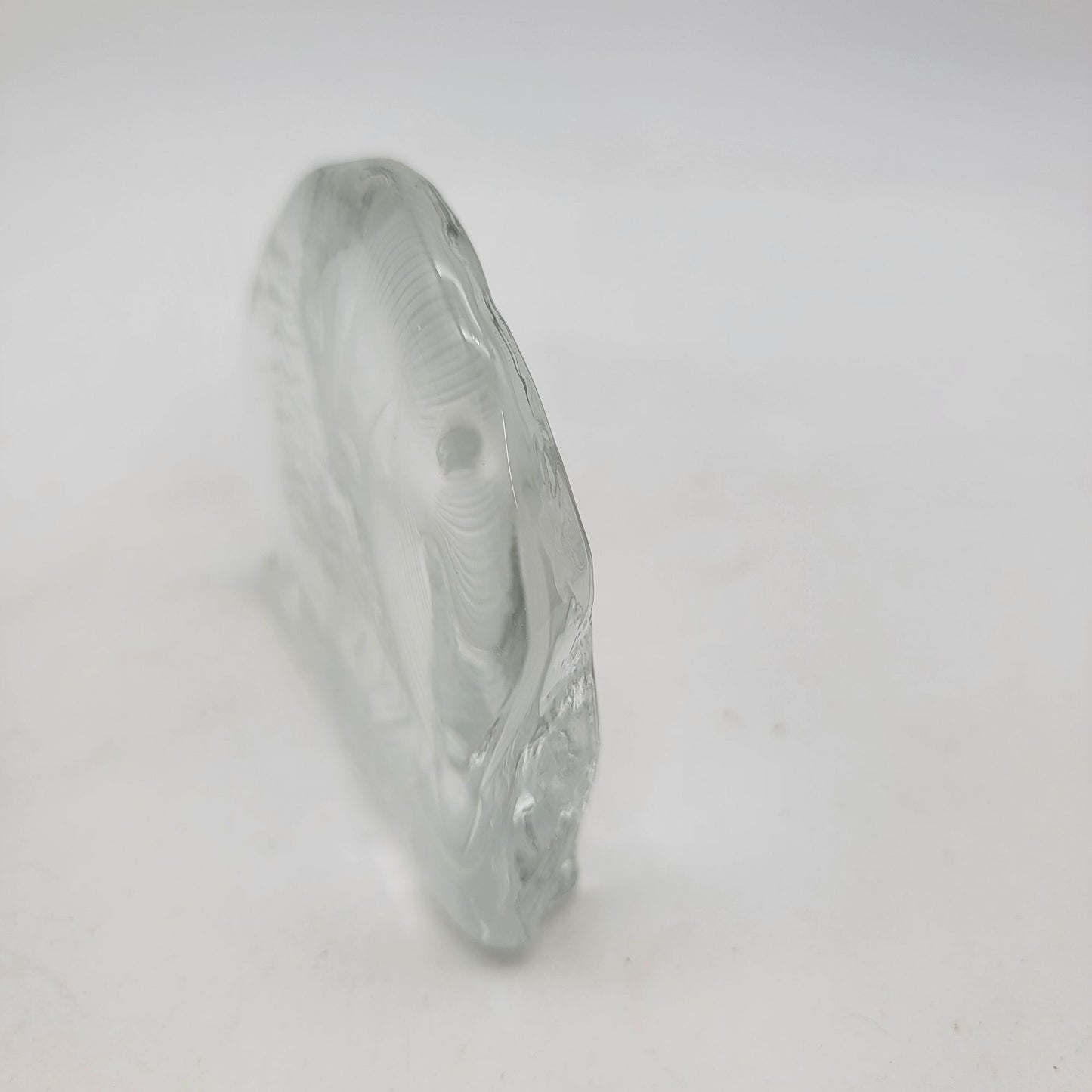 Intaglio Reverse Carved Angel Fish Clear Glass Paperweight