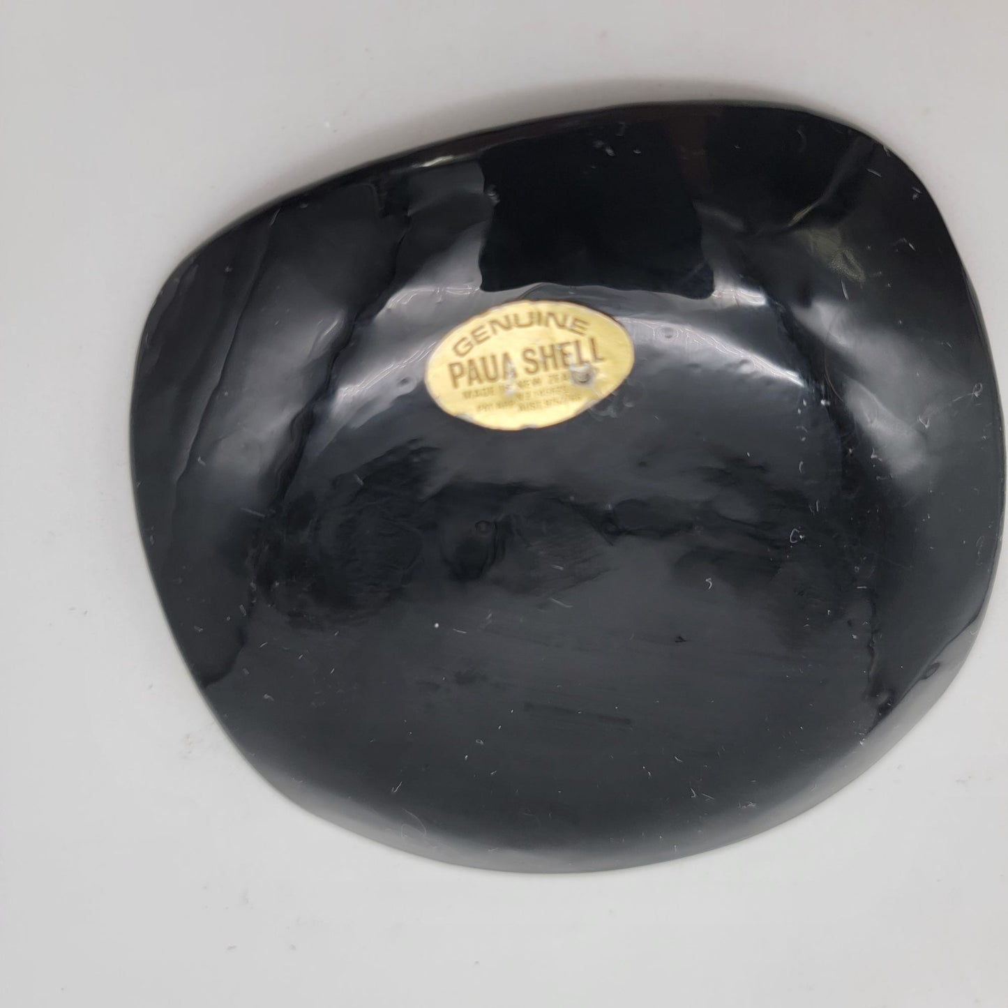 Kaui Genuine Paua Shell Trinket Dish