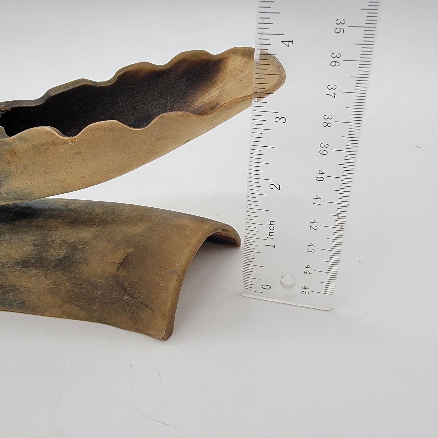 Vintage Horn Incense Burner Holder