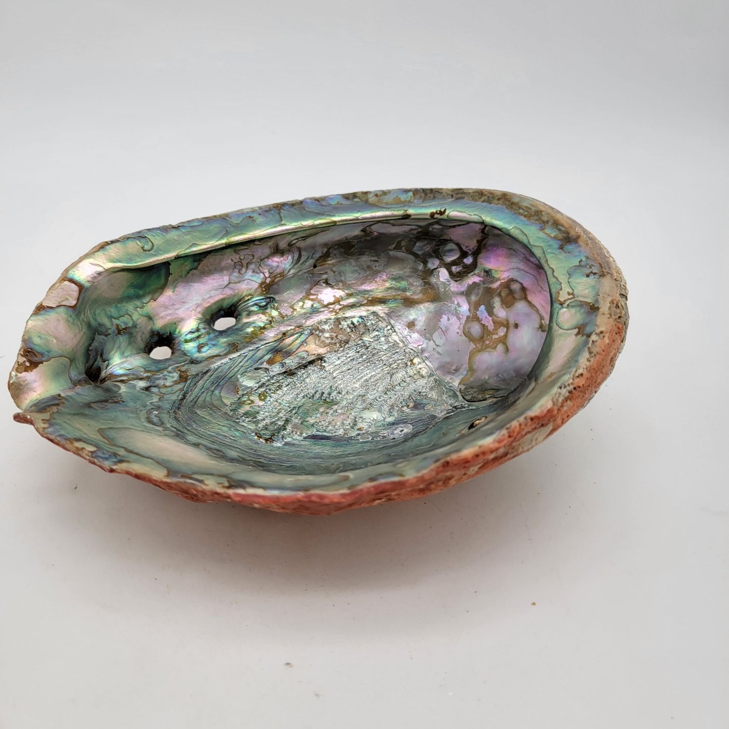 Vintage Red California Abalone Shell Trinket Dish or Smudging Dish