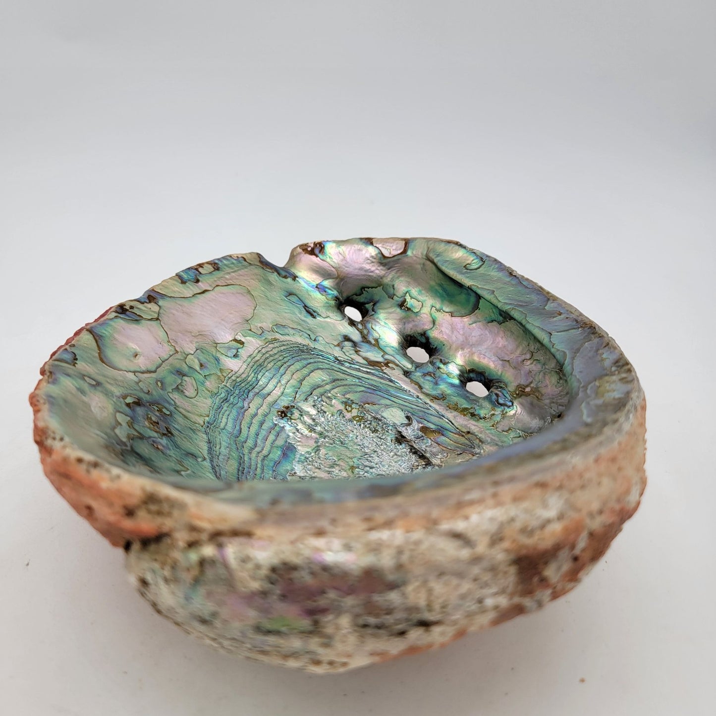 Vintage Red California Abalone Shell Trinket Dish or Smudging Dish