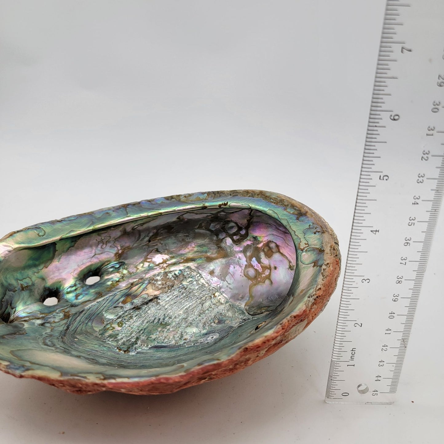 Vintage Red California Abalone Shell Trinket Dish or Smudging Dish
