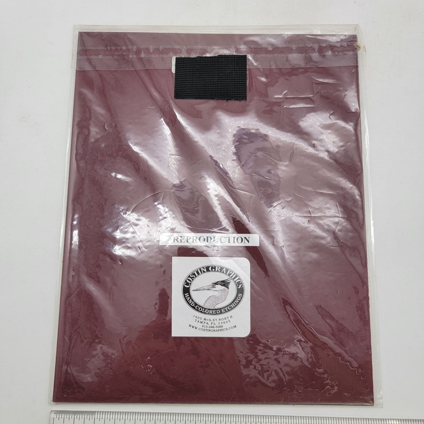 "Black-Crowned Night-Heron" Lithograph Print Signed John Costin