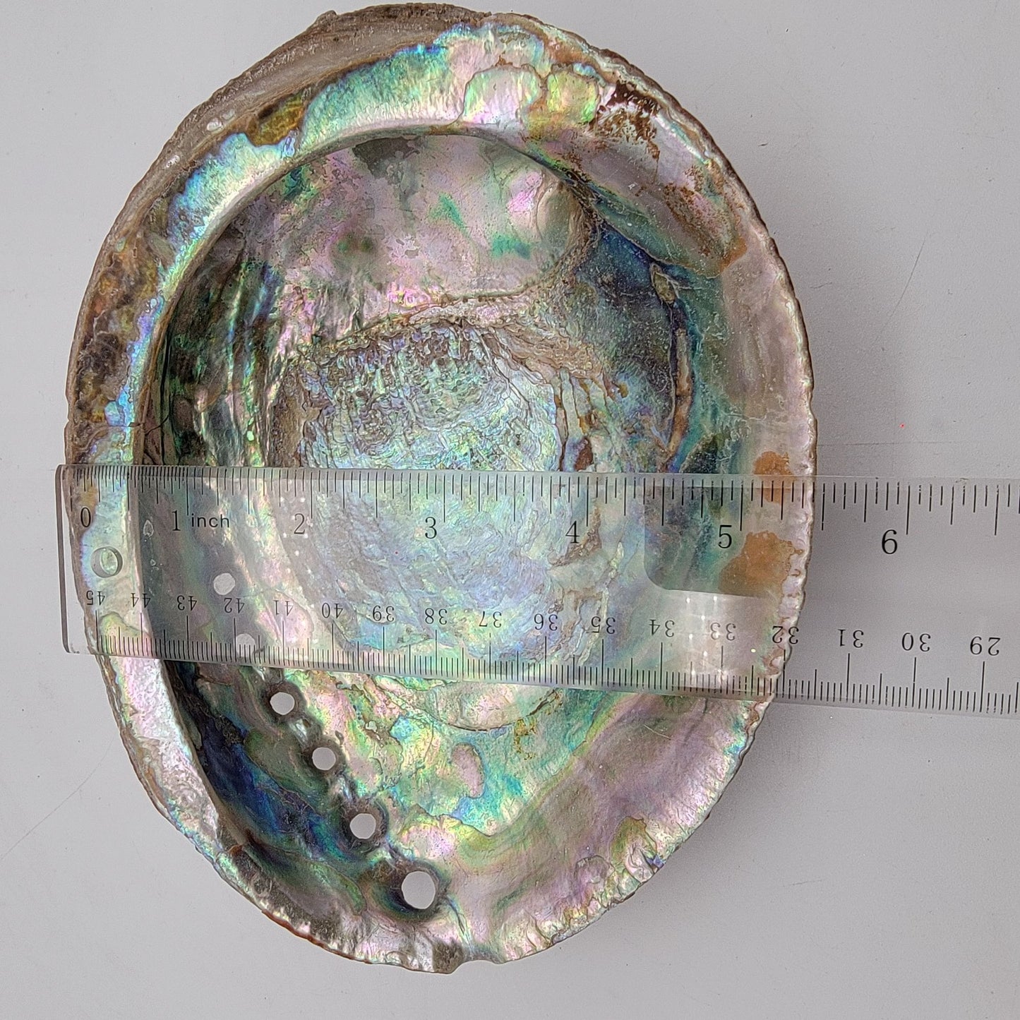 Vintage Red Abalone Shell Smudging Dish 7" x 5,5"