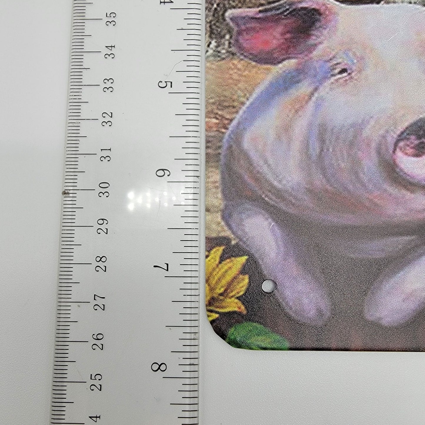 What A Wonderful World Farm Animals Tin Sign