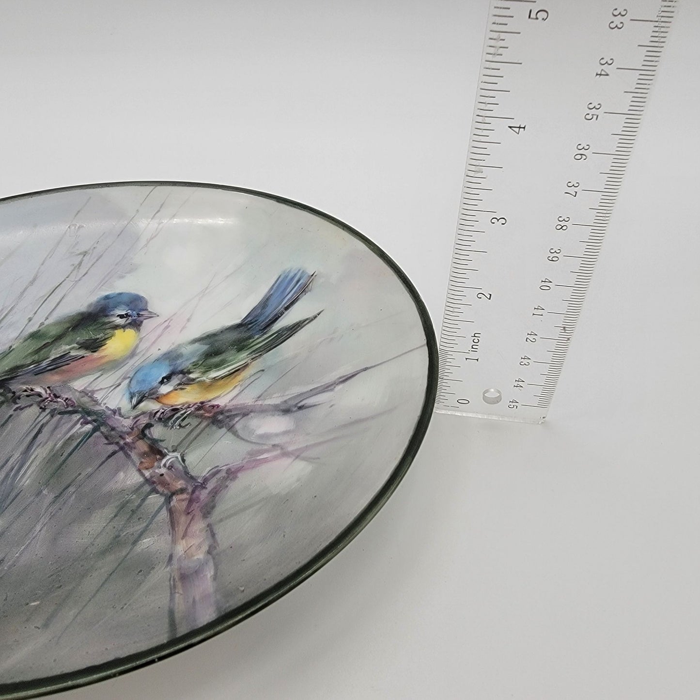 Vintage Thomas Bavaria Porcelain Plate With Hand-Painted Birds