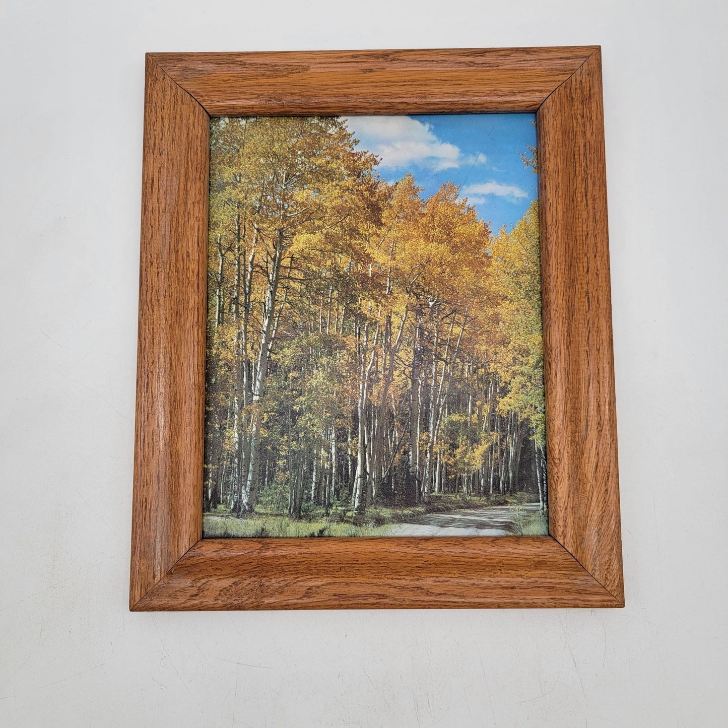 Vintage Wooden Frame Autumn Forest Landscape Wall Art