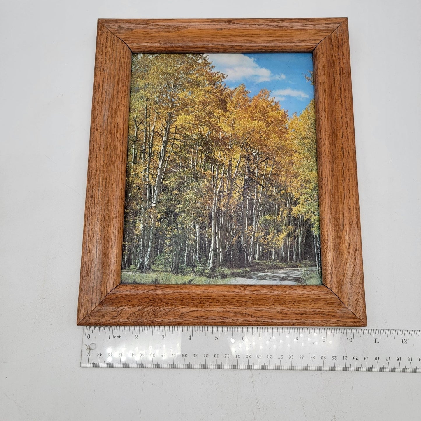 Vintage Wooden Frame Autumn Forest Landscape Wall Art