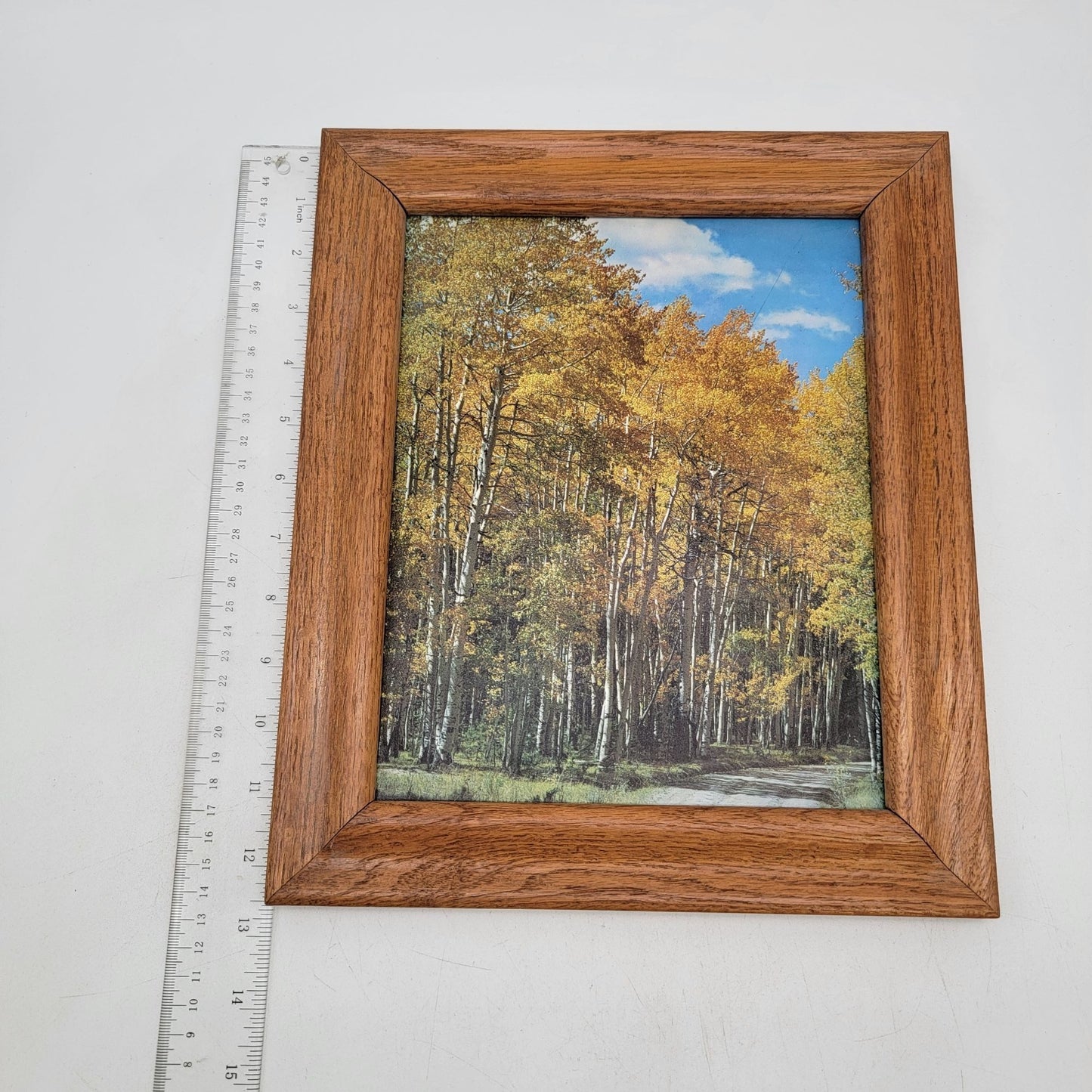 Vintage Wooden Frame Autumn Forest Landscape Wall Art