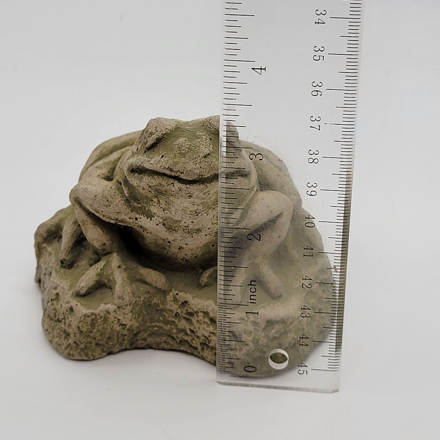 Campania International Forest Frog Cast Stone Garden Statue