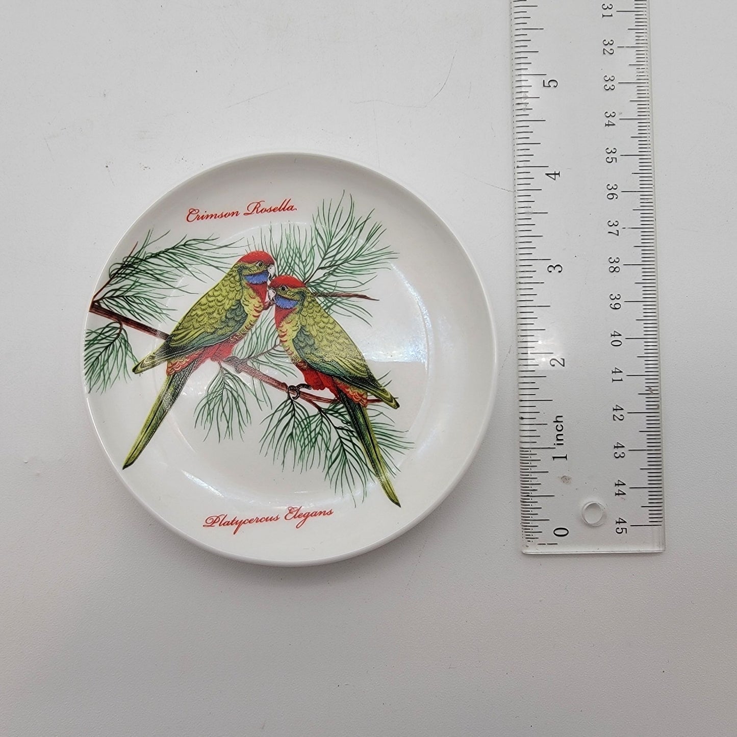 Dan Samuels Australia Crimson Rosella Fine Bone China Trinket Dish