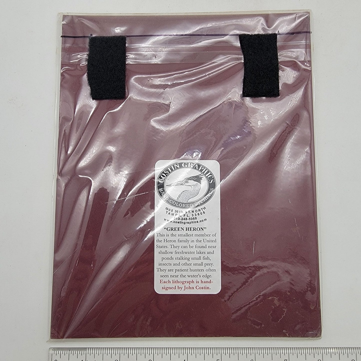 "Green Heron" Hand-Colored Lithograph By John Costin Matted Wall Art Signed