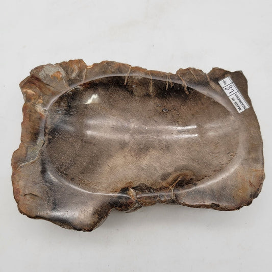 Handcarved Polished Petrified Wood Fossil Bowl Trinket Dish