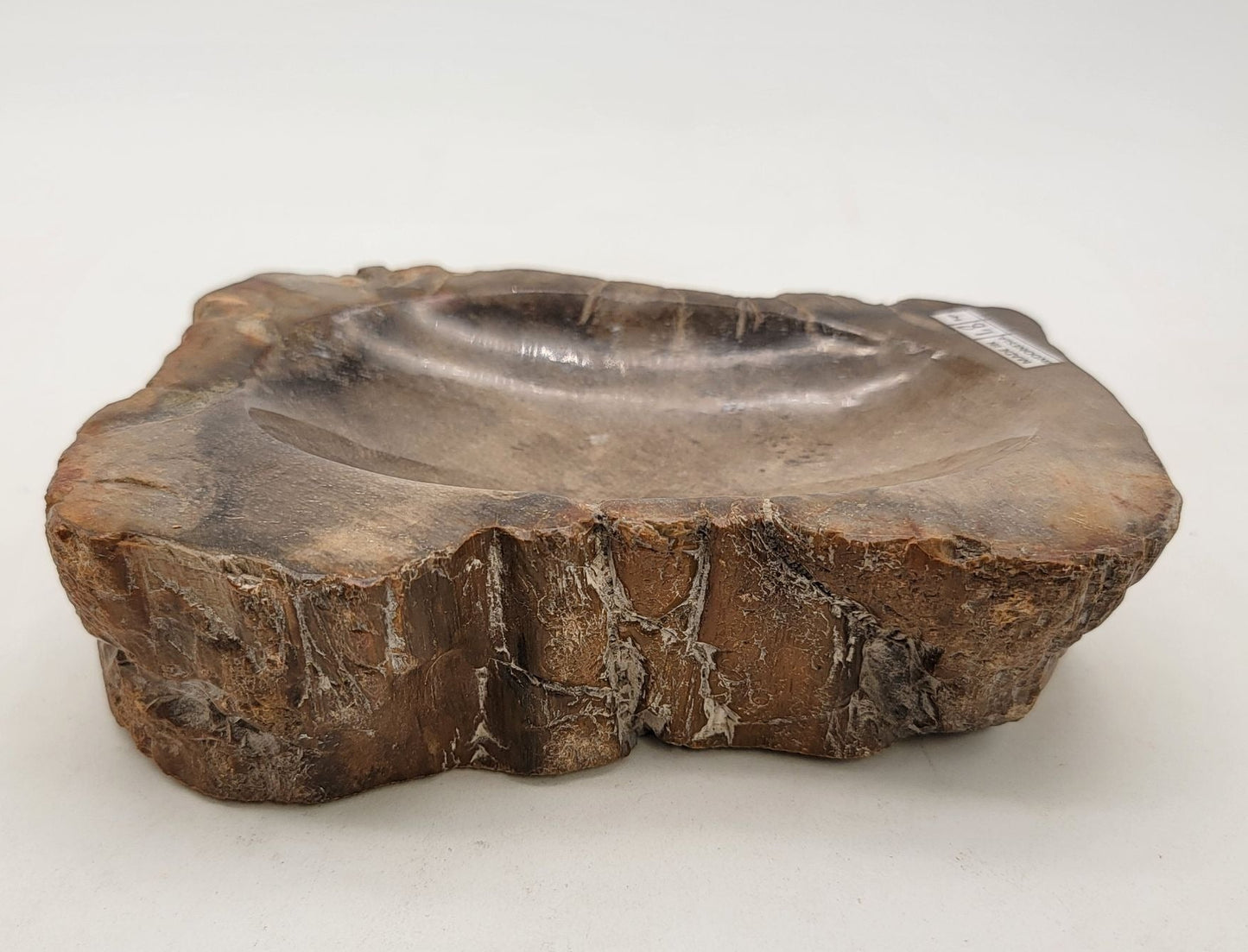 Handcarved Polished Petrified Wood Fossil Bowl Trinket Dish