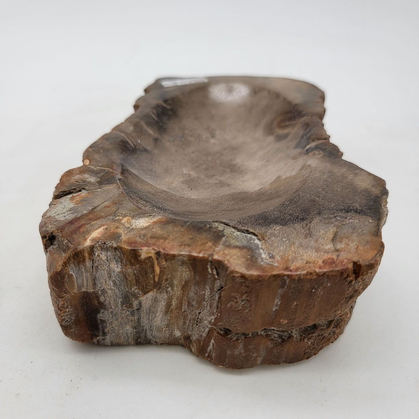 Handcarved Polished Petrified Wood Fossil Bowl Trinket Dish