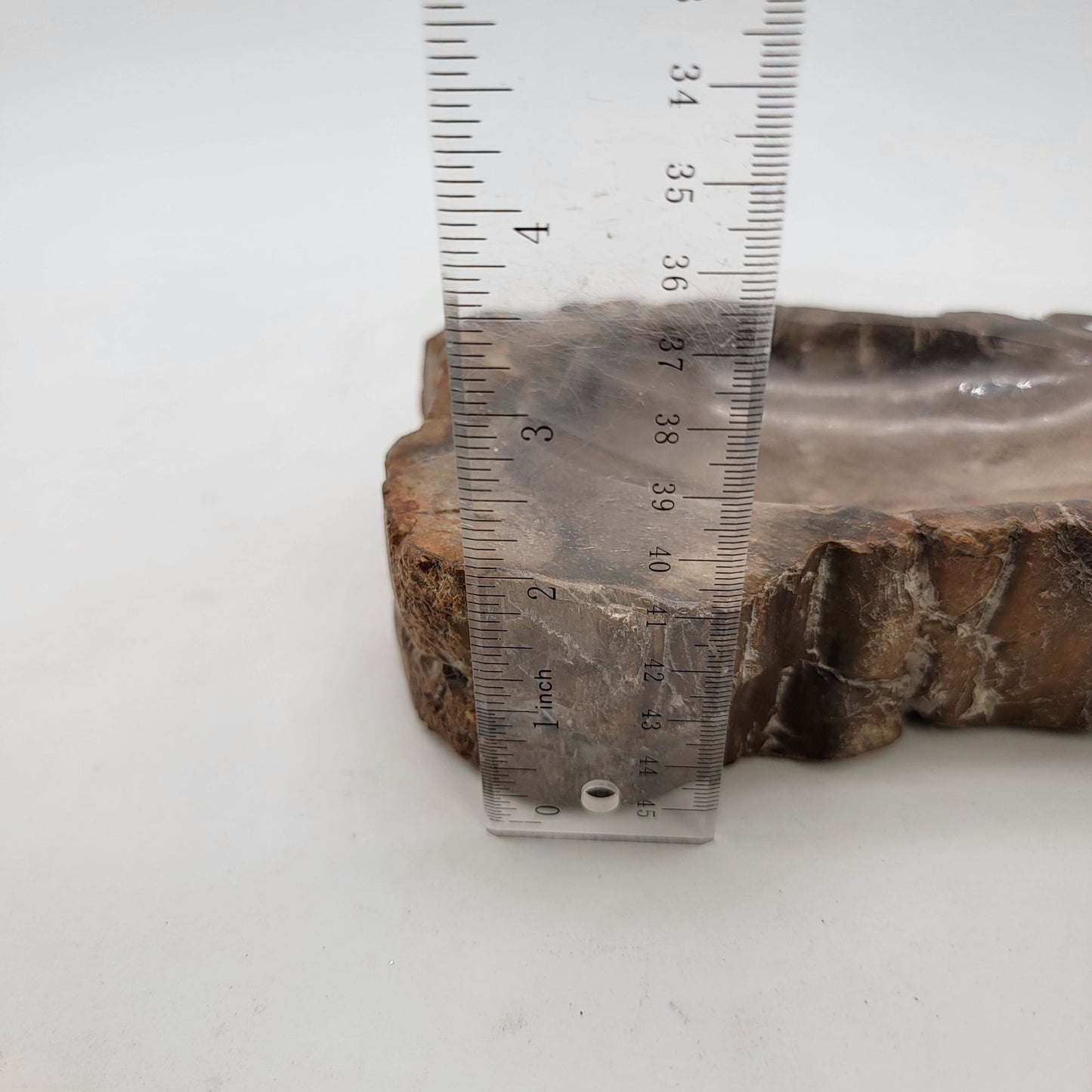Handcarved Polished Petrified Wood Fossil Bowl Trinket Dish