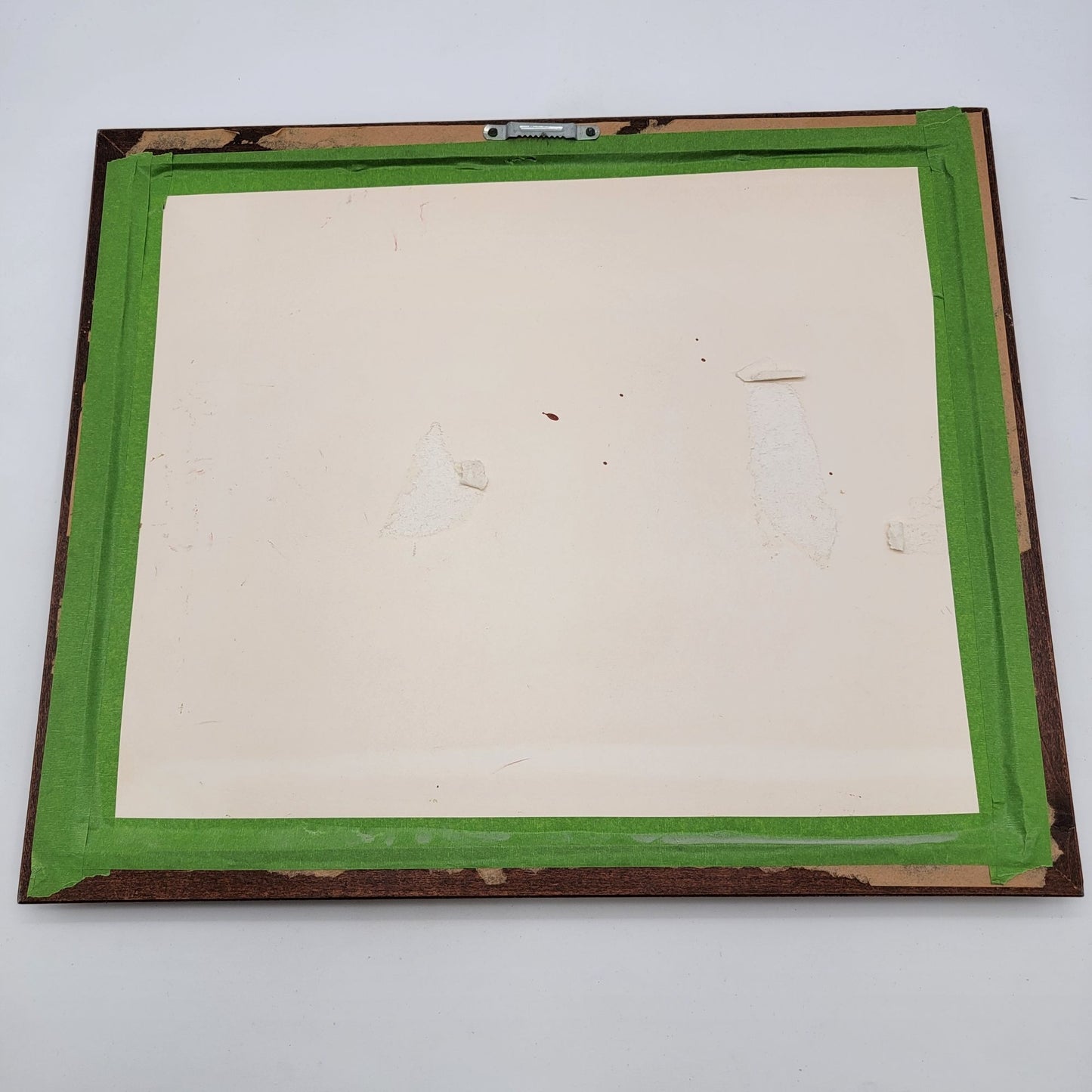 Original Watercolor Painting Of Tropical Fish By June Lowe