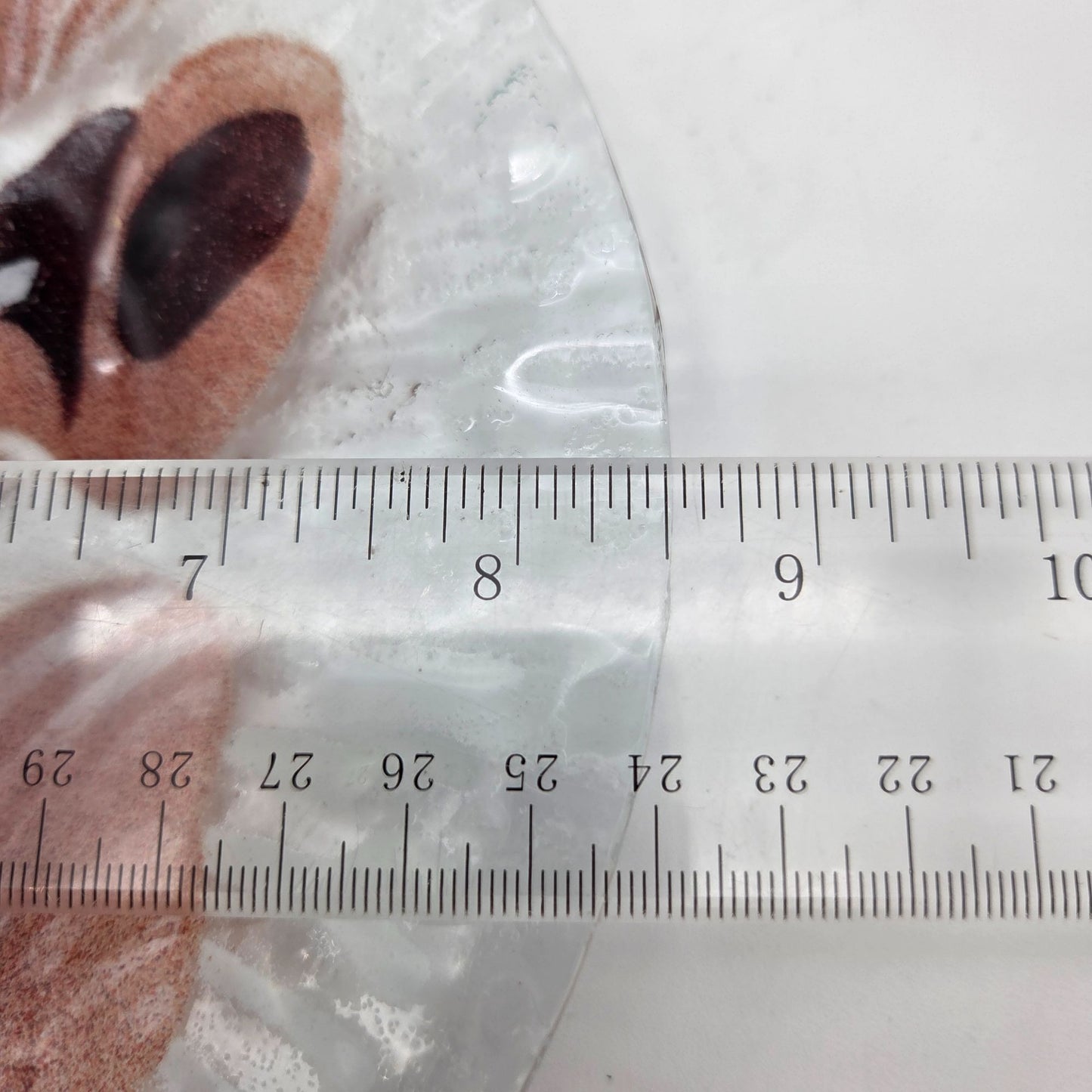 Sydenstricker Fused Glass Seashell Plate Nautical Brown