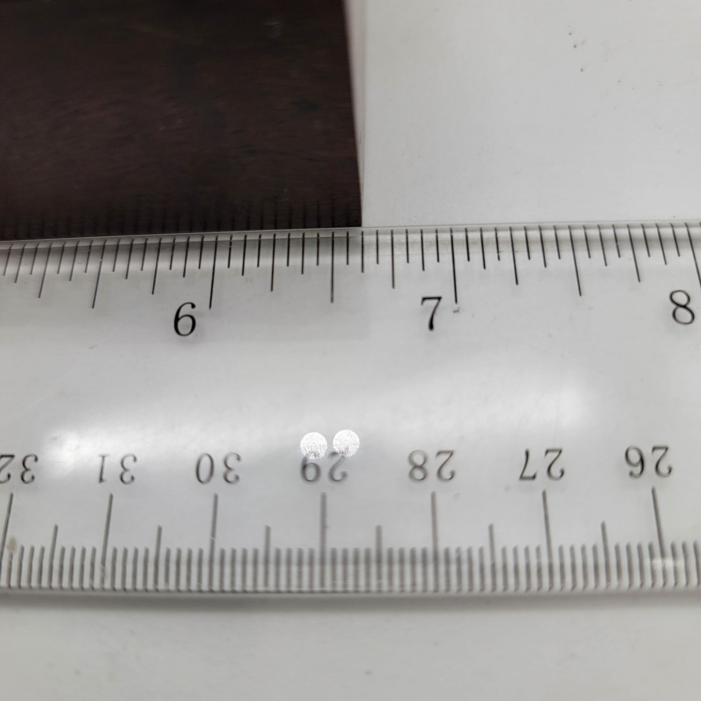 Vintage Butterfly Taxidermy Wall Art From Brazil