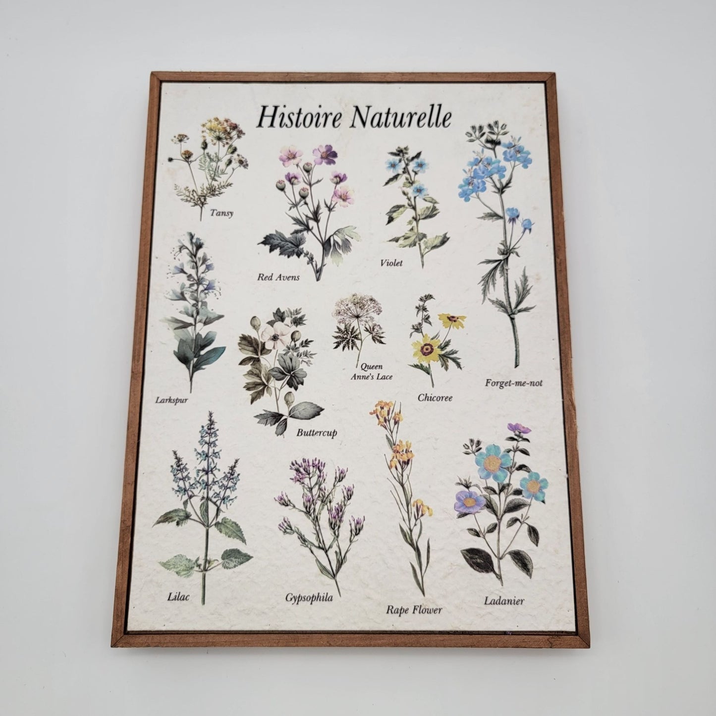 Histoire Naturelle Botanical Print Wall Art In Wood Frame