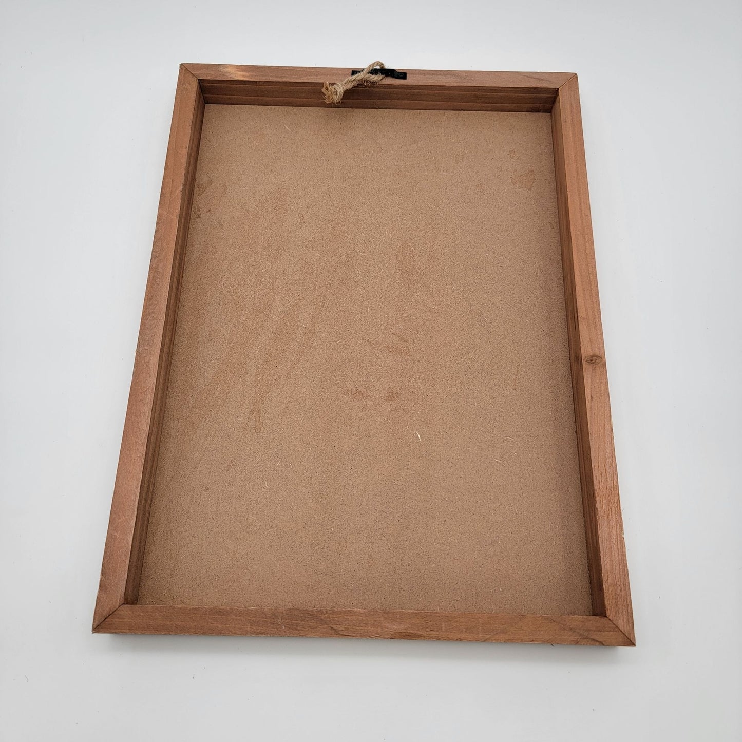 Histoire Naturelle Botanical Print Wall Art In Wood Frame