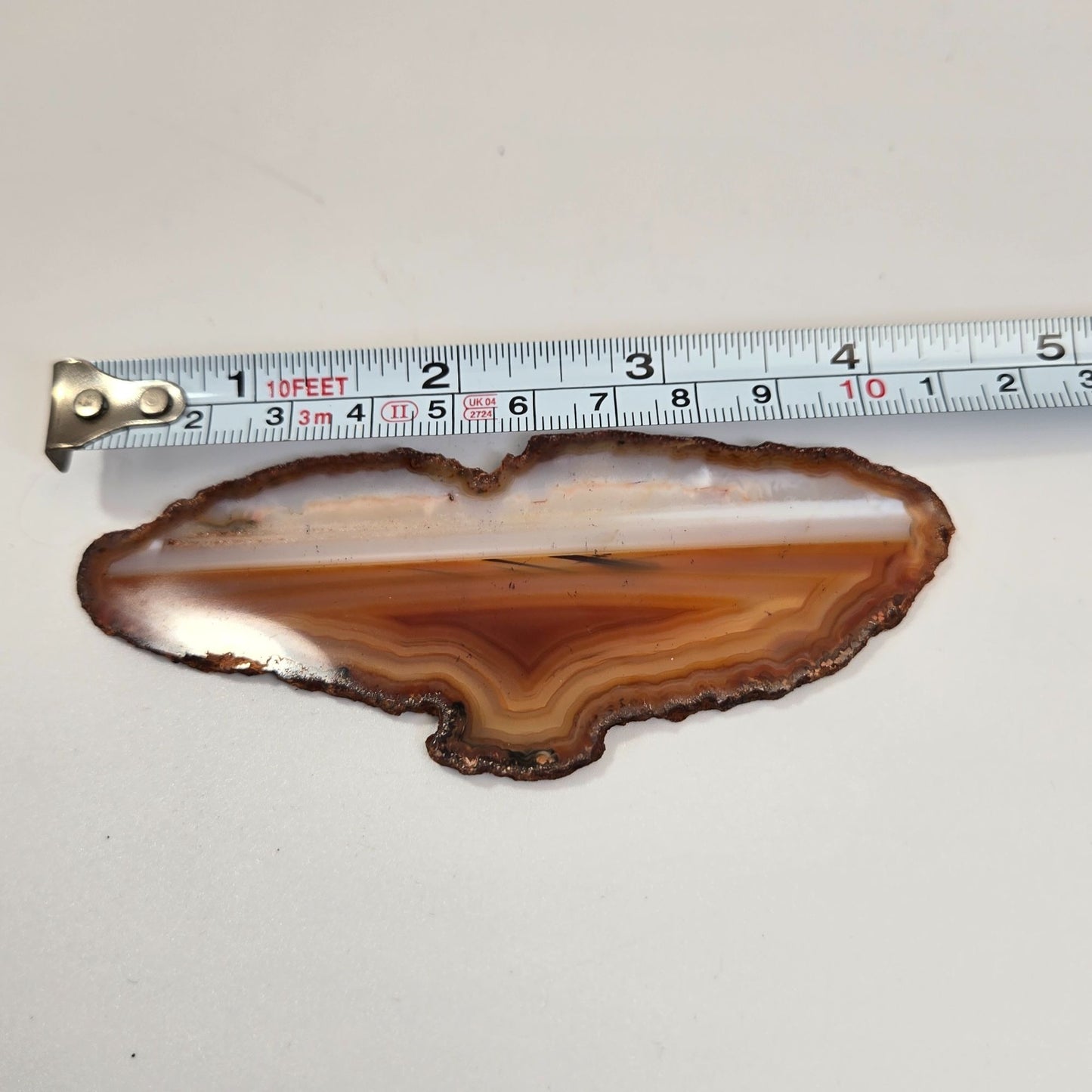 Natural Raw Edge Banded Chalcedony Agate Slice Specimen