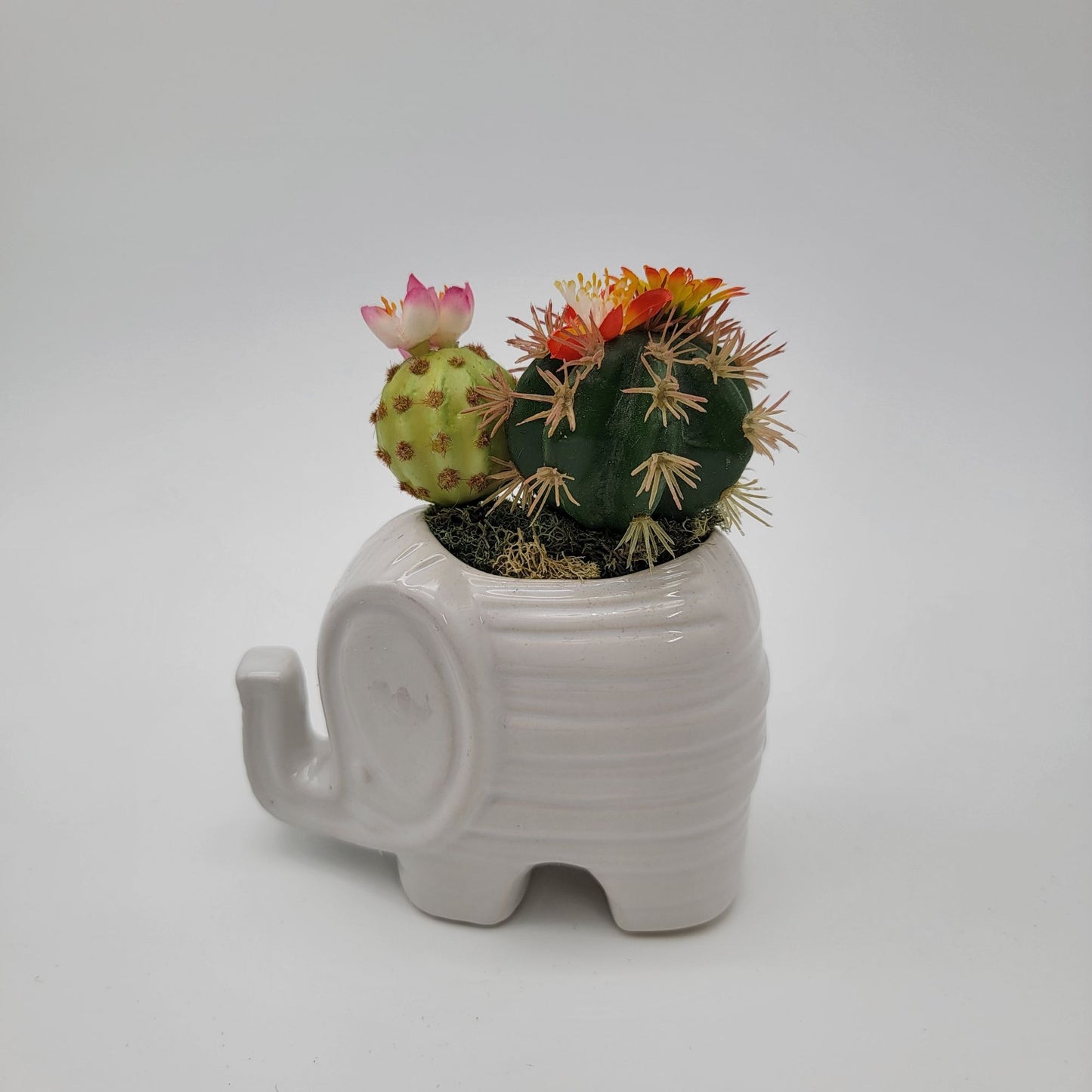 White Elephant Succulent Planter With Faux Cacti Arrangement