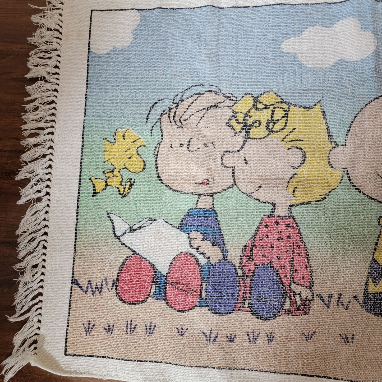 Peanuts Charlie Brown & Snoopy Woven Screened Rug