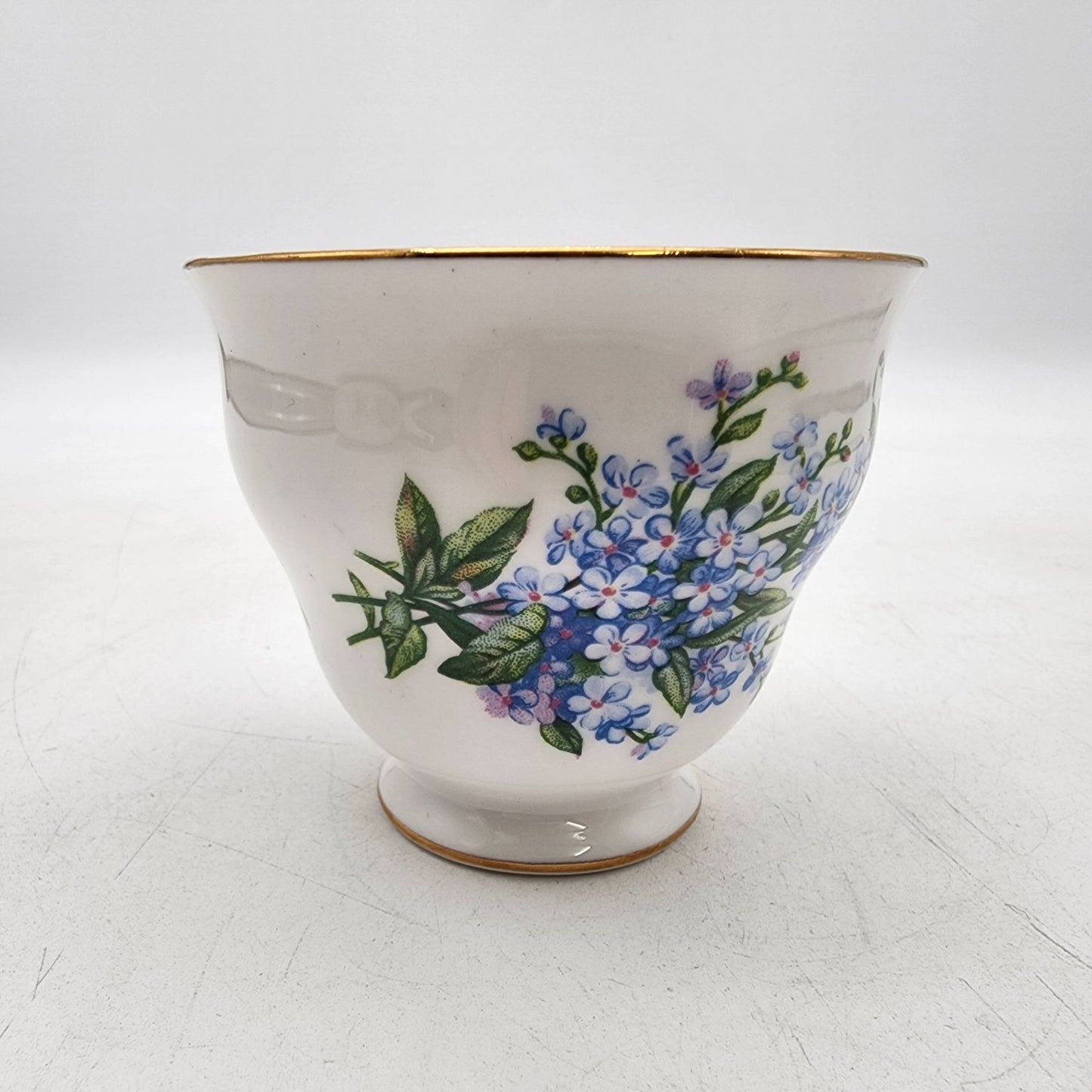 Queen Anne English Bone China Blue Floral Teacup & Saucer Set