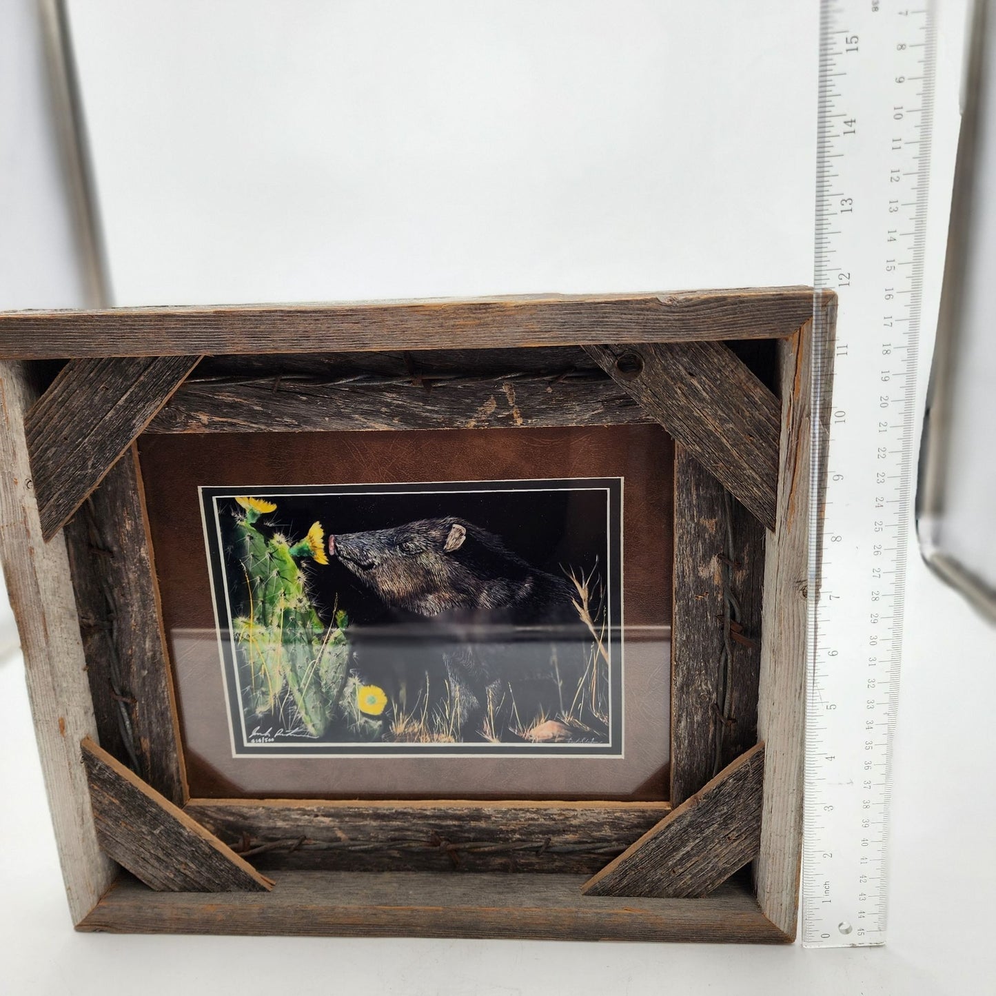 Wild Boar Scratchboard Art By Joseph Robertson Signed & Numbered With Reclaimed Wood Frame